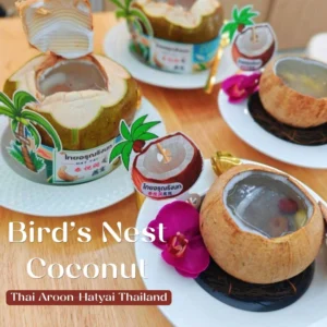 椰炖燕窝 Stewed bird's nest in coconut