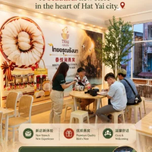 炖燕窝 hatyai thailand