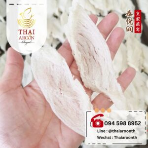 รังนกทรงปลาหมึก ขายส่ง > รังนกเส้น 大條